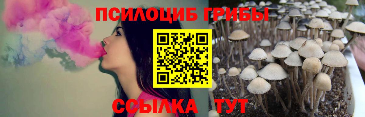 Псилоцибиновые грибы ЛСД Гусев